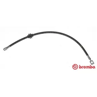 Flexible de frein BREMBO