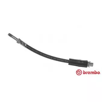 Flexible de frein BREMBO T 06 032