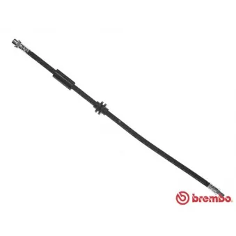 Flexible de frein BREMBO T 06 036