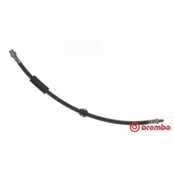 Flexible de frein BREMBO T 06 038