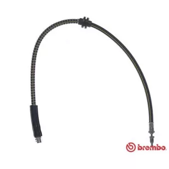 Flexible de frein BREMBO T 06 048