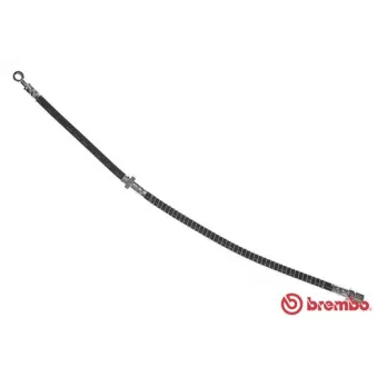 Flexible de frein BREMBO T 10 001