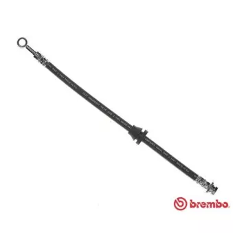Flexible de frein BREMBO T 10 003