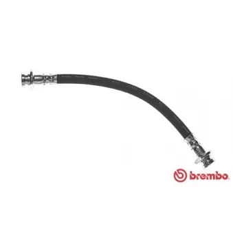 Flexible de frein BREMBO T 10 004