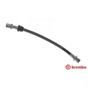 Flexible de frein BREMBO T 10 010
