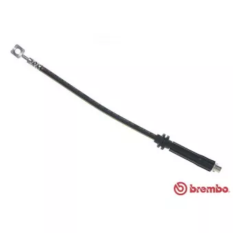 Flexible de frein BREMBO T 10 017
