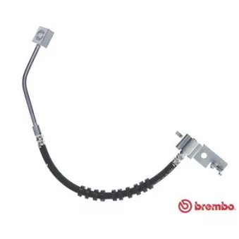 Flexible de frein BREMBO T 11 005