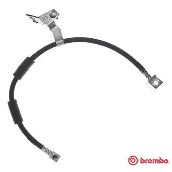 Flexible de frein BREMBO T 11 008