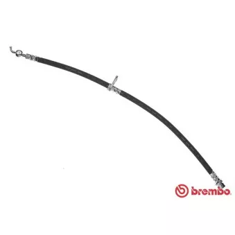 Flexible de frein BREMBO T 11 013
