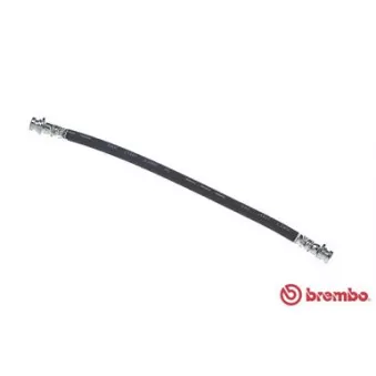 Flexible de frein BREMBO T 16 031