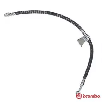 Flexible de frein BREMBO