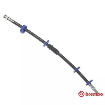 Flexible de frein BREMBO T 23 010