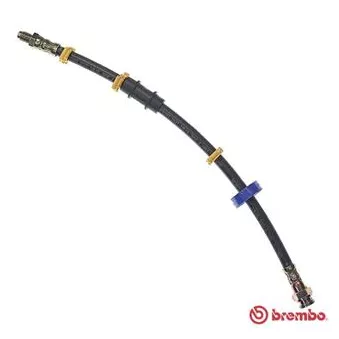 Flexible de frein BREMBO