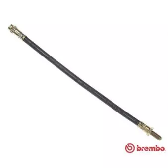 Flexible de frein BREMBO T 23 014