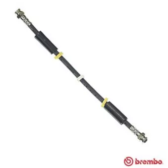 Flexible de frein BREMBO T 23 016