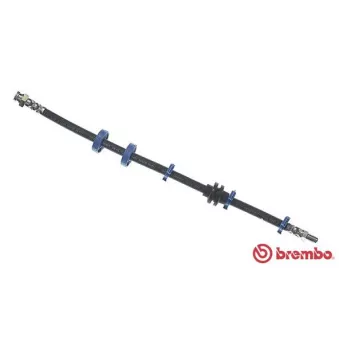 Flexible de frein BREMBO T 23 024