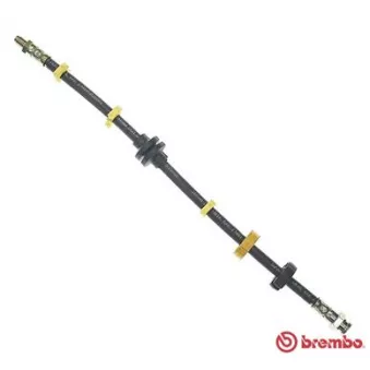 Flexible de frein BREMBO T 23 025