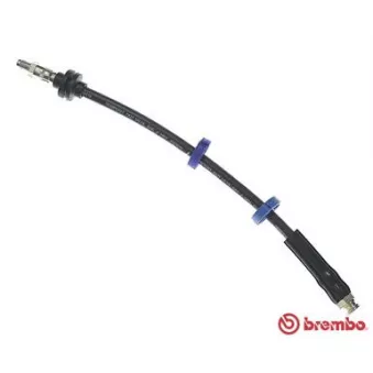 Flexible de frein BREMBO T 23 027