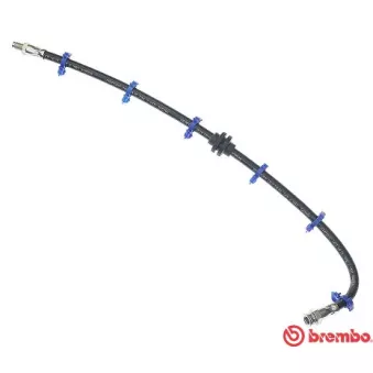Flexible de frein BREMBO T 23 029