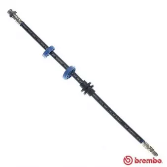 Flexible de frein BREMBO T 23 034