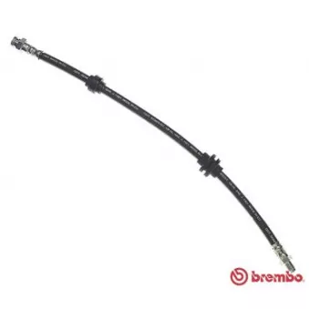 Flexible de frein BREMBO T 23 036