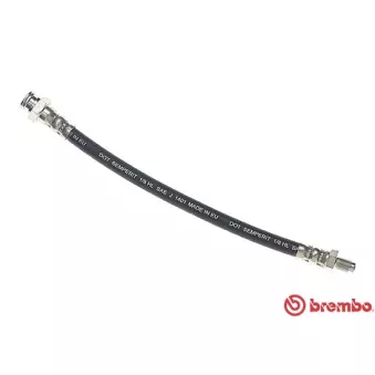 Flexible de frein BREMBO T 23 043