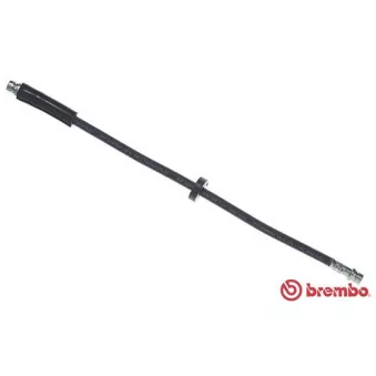 Flexible de frein BREMBO T 23 049