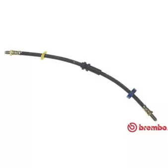 Flexible de frein BREMBO T 23 065