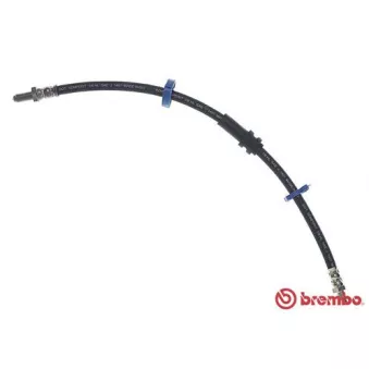 Flexible de frein BREMBO T 23 066