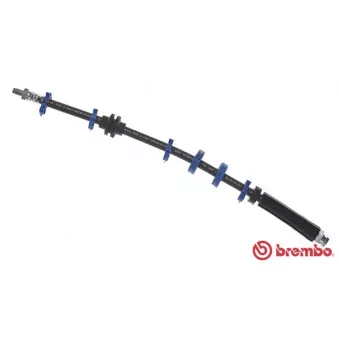 Flexible de frein BREMBO T 23 112