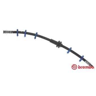 Flexible de frein BREMBO T 23 126