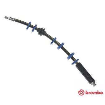 Flexible de frein BREMBO T 23 143
