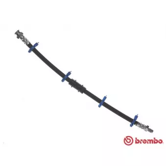 Flexible de frein BREMBO T 23 154