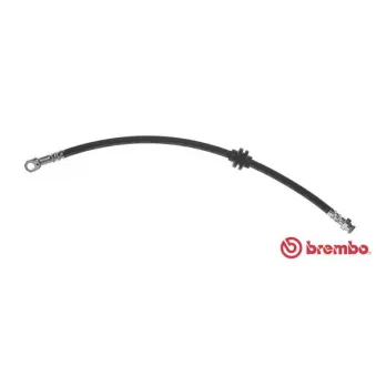 Flexible de frein BREMBO