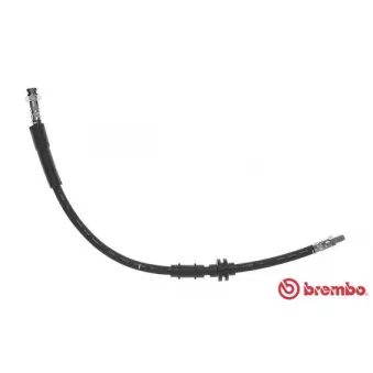 Flexible de frein BREMBO T 23 179