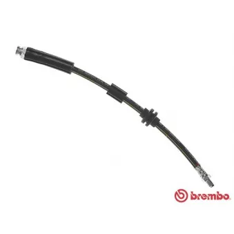 Flexible de frein BREMBO T 23 181