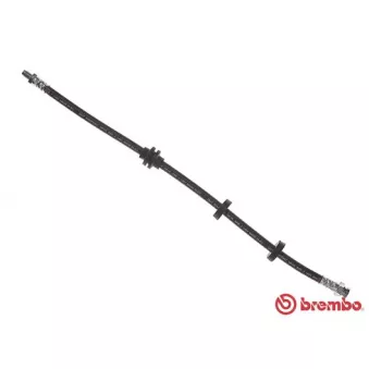 Flexible de frein BREMBO T 23 184