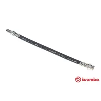 Flexible de frein BREMBO T 23 191