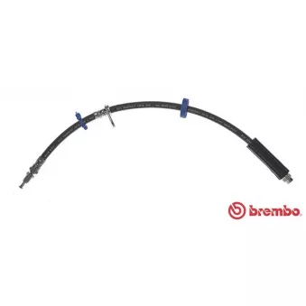 Flexible de frein BREMBO T 23 193