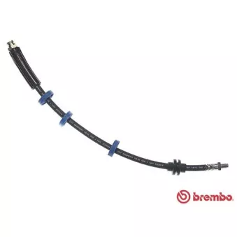 Flexible de frein BREMBO T 23 203