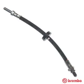 Flexible de frein BREMBO T 24 003