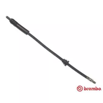 Flexible de frein BREMBO T 24 006