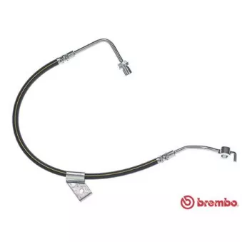 Flexible de frein BREMBO T 24 011