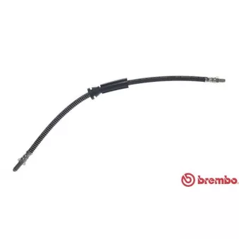 Flexible de frein BREMBO T 24 018