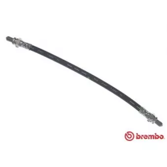 Flexible de frein BREMBO T 24 019