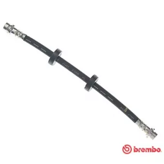 Flexible de frein BREMBO T 24 020