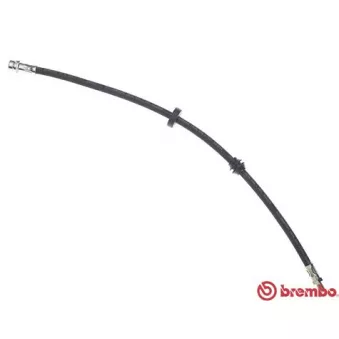 Flexible de frein BREMBO T 24 021