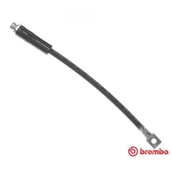 Flexible de frein BREMBO T 24 022