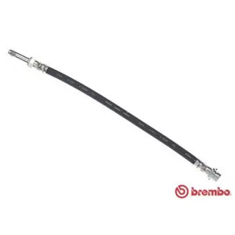 Flexible de frein BREMBO T 24 023