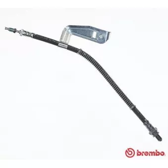 Flexible de frein BREMBO T 24 025